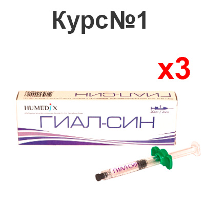 Курс: ГИАЛ-СИН + ГИАЛ-СИН + ГИАЛ-СИН